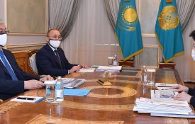 Глава государства принял министра культуры и спорта Актоты Раимкулову