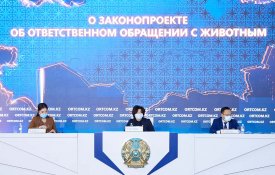 О законопроекте «Об ответственном обращении с животными»