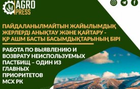 МСХ РК: Работа по выявлению и возврату неиспользуемых пастбищ – один из главных приоритетов МСХ РК