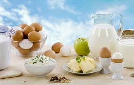 Ауыл шаруашылығы өнімдерін қайта өңдеу туралы