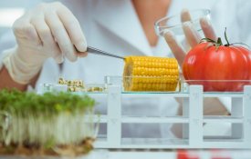 О мерах, направленных на обеспечение безопасности продукции