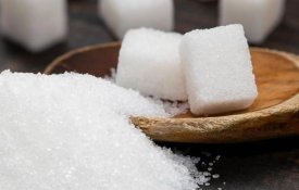 Компания из ОАЭ планирует построить сахарный завод в Конаеве