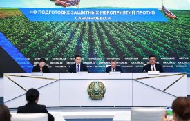 Дроны и технологии ИИ используют для изучения площадей распространения вредителей