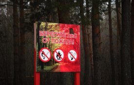 О принимаемых мерах в пожароопасный период