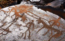 На берегу Или создают новый туристический кластер: реконструируют «Город кочевников» и построят мост к Танбалы Тас