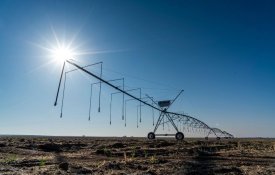 Проект по внедрению системы дождевого орошения реализуется в Жетісу