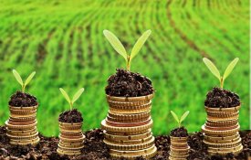 Программа льготного кредитования АПК демонстрирует устойчивые результаты