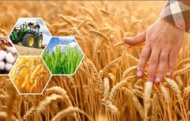 Сельхозпродукции на 296,8 млрд тенге произведено в Актюбинской области