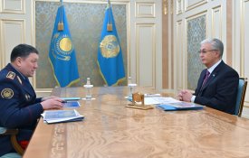 Глава государства принял министра внутренних дел Ержана Саденова