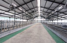 В Костанайской области запустили молочно-товарную ферму на 1200 голов