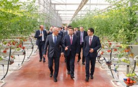 Тепличный комплекс мощностью 155 тыс. тонн томатов в год запустили в Шымкенте