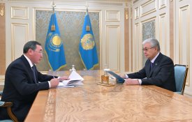 Глава государства принял акима Алматинской области Марата Султангазиева