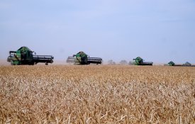 Акмолинская область стала лидером страны по валовому сбору зерновых