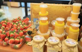 Кооперативы и новые производства: результаты программы «Ауыл аманаты»