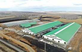 8 современных комплексов по производству молока запустят в этом году в СКО