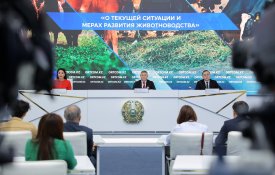 Объем валовой продукции животноводства в Казахстане достиг 3 трлн тенге