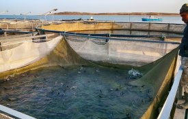 В Казахстане уделяется особое внимание развитию аквакультуры