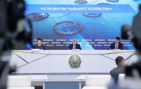 О развитии рыбного хозяйства
