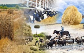 За последние 5 лет количество сельхозкооперативов увеличилось в 1,5 раза