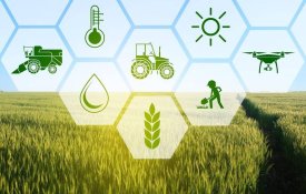 МСХ РК ведет работу по формированию стратегии создания единой цифровой экосистемы «Е-АПК»