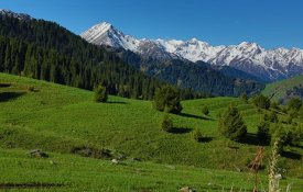 Алматы облысының туристік және инвестициялық тартымдылығы артуда