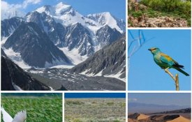 Казахстан утвердил Концепцию по сохранению природы