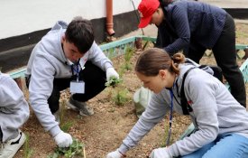 Более 60 тысяч казахстанцев вовлечены в экологическое волонтерство