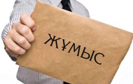 СНР «Платформенная занятость»