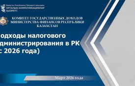 СНР «Платформенная занятость»