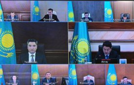 «Таза Қазақстан»: 1,6 млрд высаженных деревьев и лесомелиорация на площади более 1 млн га