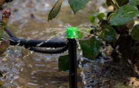 В пять раз ускорить темпы внедрения водосберегающих технологий в Казахстане позволили меры государственной поддержки