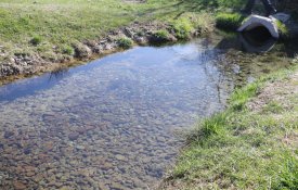 Республиканская экологическая акция «Мөлдір бұлақ»: тысячи казахстанцев вышли очищать родники