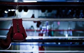 Правительство утвердило Концепцию развития бокса на 2026–2030 годы