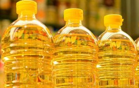 Tiryaki Agro построит в СКО маслоэкстракционный завод