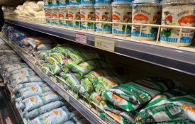 Казахстан масштабирует опыт образцовых хозяйств для защиты внутреннего рынка и сдерживания цен