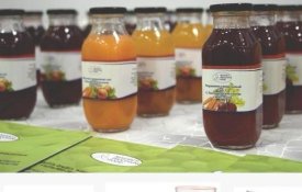 Қазақстанда жеміс-көкөніс өнімдерін өңдеудің жаңа технологиясы әзірленді