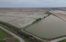 400 млн кубометров воды было подано для промывки почвы в Туркестанской области