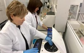 Казахстанские ученые запатентовали засухоустойчивые сорта с прибавкой урожайности до 10 ц/га