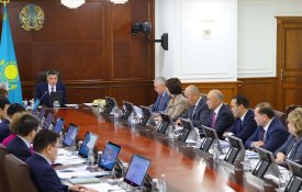 Үкіметте фармацевтикалық және медициналық өнеркәсіпті дамыту мәселелері бойынша Отандық кәсіпкерлер кеңесі отырысы өтті