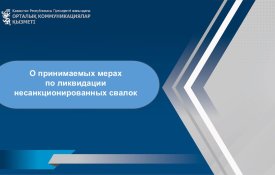 «Таза Қазақстан»: результаты реализации инициативы, ликвидация несанкционированных свалок и развитие системы обращения с ТБО