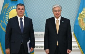 Президент принял главного исполнительного директора Air Astana Ибрагима Жанлыела