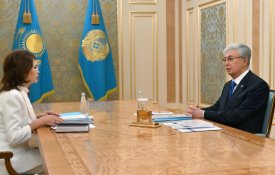 Глава государства принял заместителя Премьер-министра – министра культуры и информации Аиду Балаеву