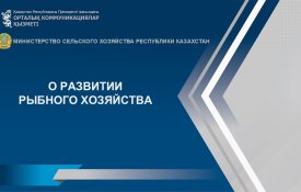 Балық шаруашылығындағы жетістіктер және одан әрі дамытудың басым бағыттары