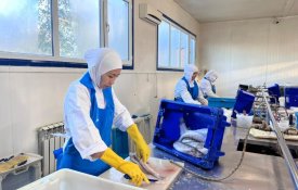 Снижение НДС на 70%: в Казахстане усиливают поддержку переработки рыбы