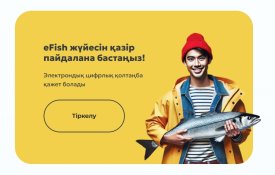Қазақстанда балық өнімдерінің көлеңкелі айналымы E-fish цифрлық жүйесінің көмегімен қысқартылып жатыр