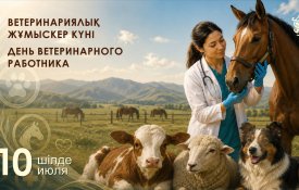 Сегодня в Казахстане отмечается День ветеринарного работника