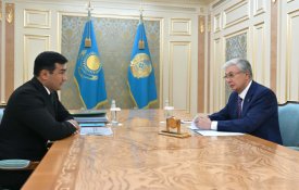 Глава государства принял председателя правления холдинга «Байтерек» Рустама Карагойшина