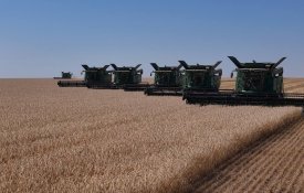 Уборка зерновых в Казахстане завершена на 83%