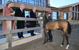 Король и Королева бельгийцев ознакомились с традициями казахского коневодства