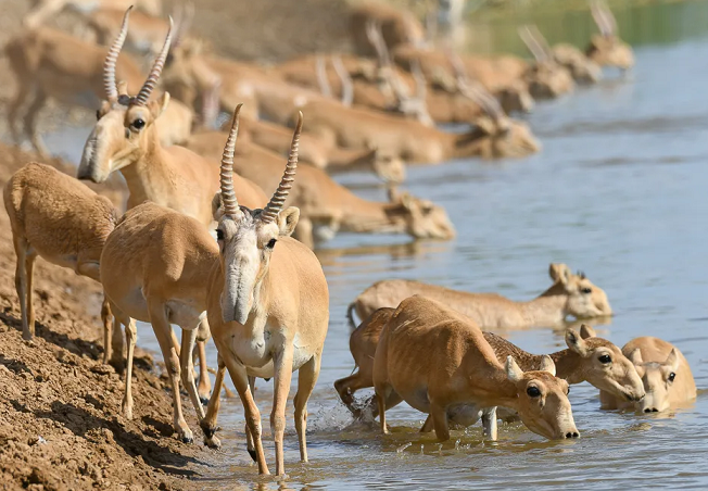 Порно маркета брымова